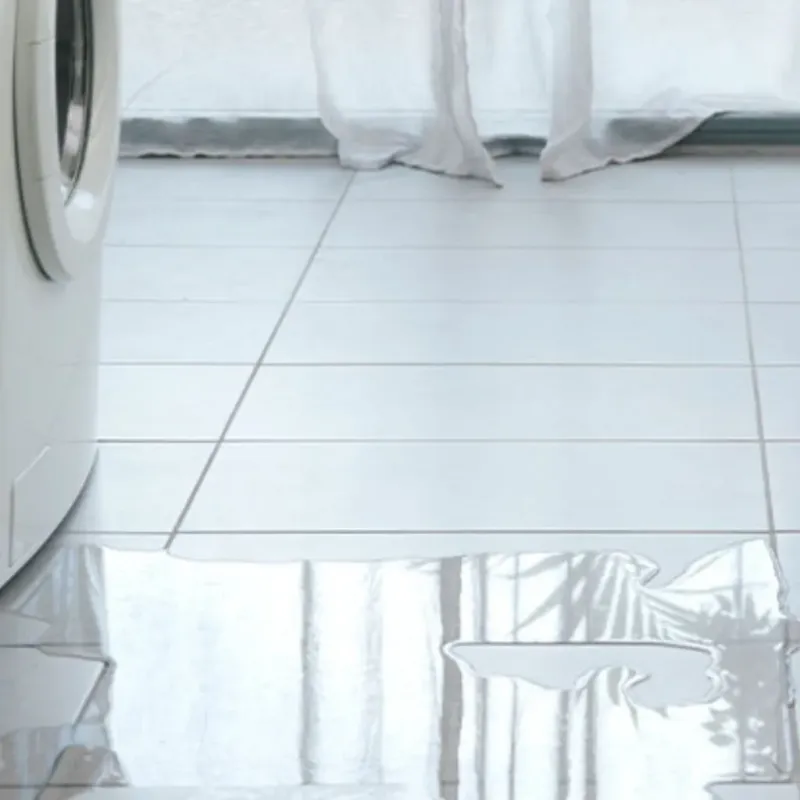 Appliance Leak Cleanup in Rotonda West, FL